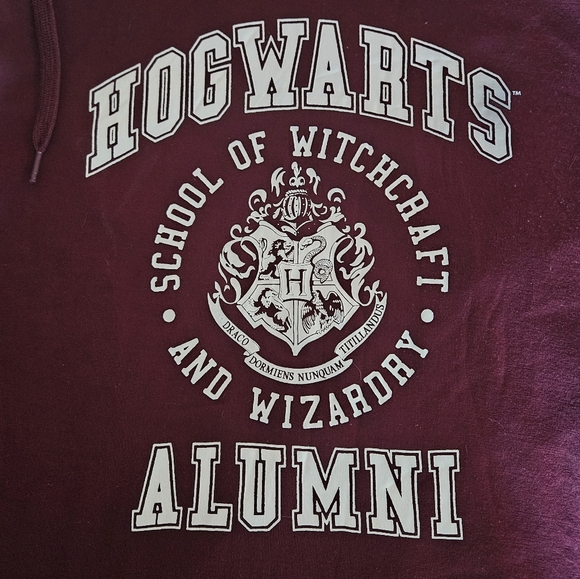 ๐3/$25๐ Burgundy/Harry Potter Graphic Hoodie - Picture 3 of 6